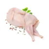 A whole raw plucked quail garnished with a fresh mint sprig and scattered colorful peppercorns on a clean white background.