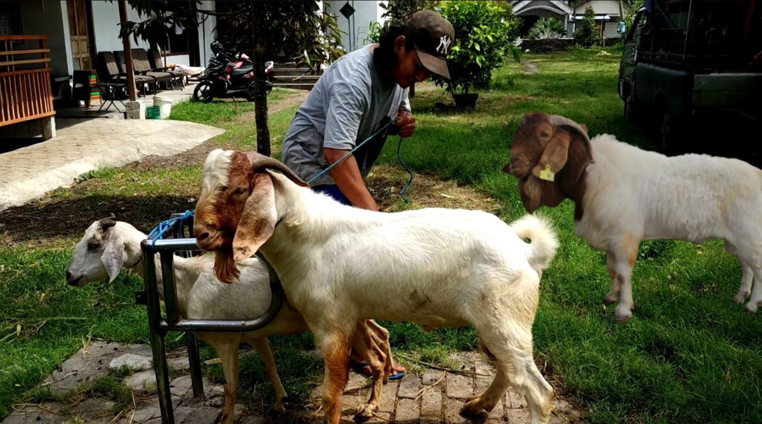 Restaurant Meat Supply Lahore