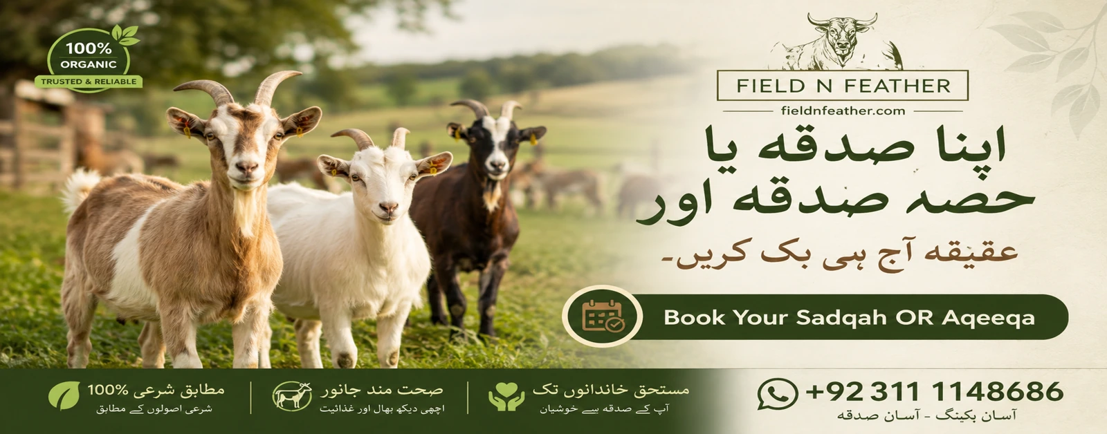 best bakra sadqa service provider in Pakistan