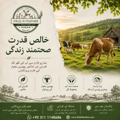Field n Feather organic farm banner - desi ghee, sadqa and qurbani services in Pakistan